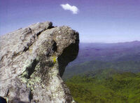 Deluded Rock