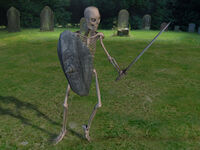 Skeleton warrior