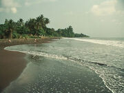 Coastal Valley