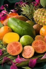 Fruit basket