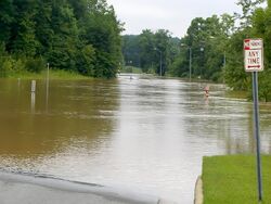 June2008Floods1