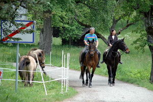 Poertschach Reiten
