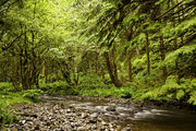 Rock-creek