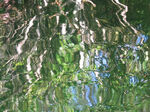 Reflections...