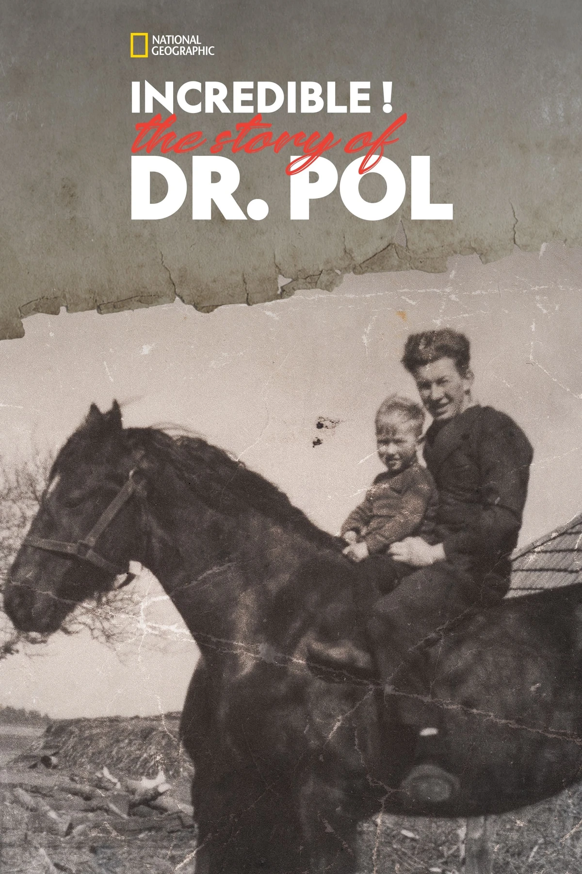 Incredible! The Story of Dr. Pol | National Geographic (Worldwide) Wiki