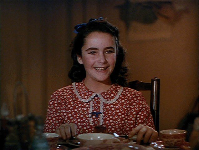 Velvet Brown | National Velvet Wiki | Fandom