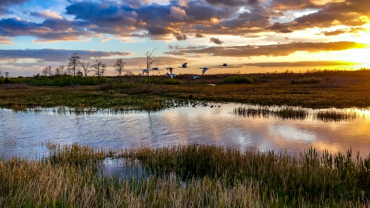 Everglades National Park | National Parks Wiki | Fandom
