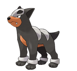 Houndour