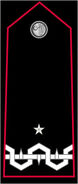 Brigadier General