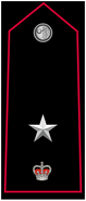 Deputy Commissioner