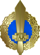 Gladi RSI per Ufficiali di Stato Maggiore dal 1972