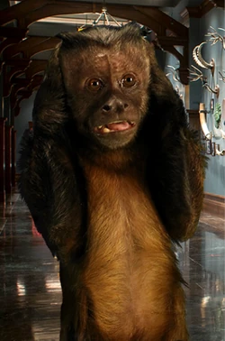 Dexter | Night At The Museum Wiki | Fandom