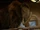 Woolly Mammoth