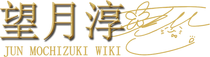 Jun Mochizuki Wiki