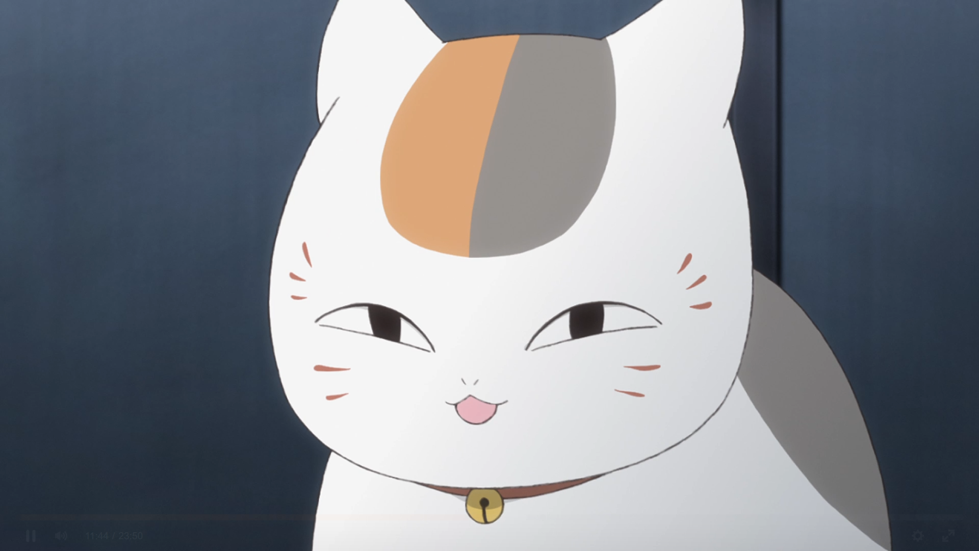 Old Man's Cat | Anime-Planet