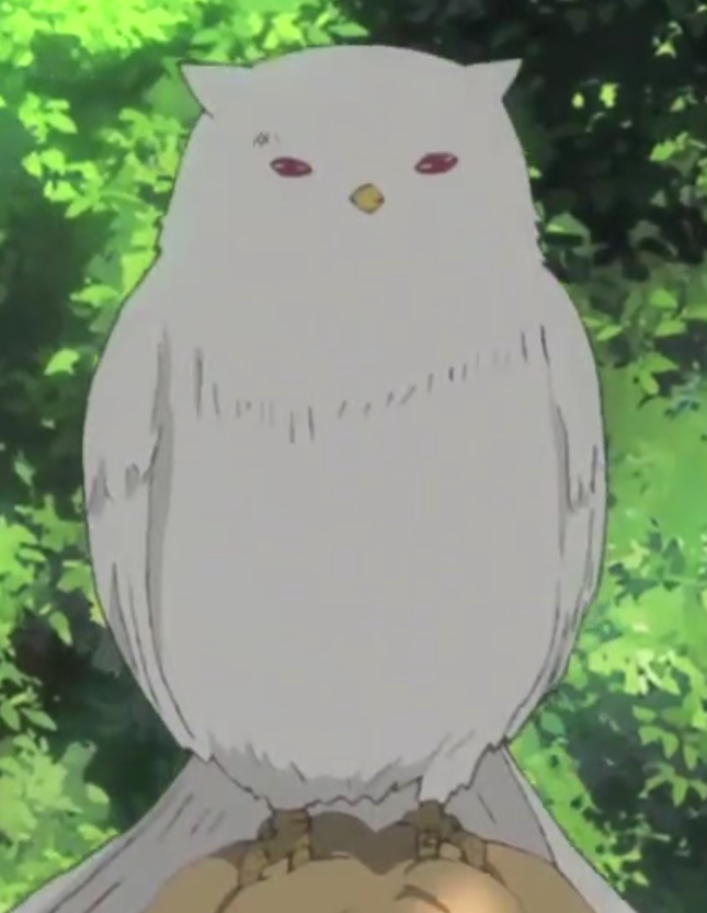 Haikyu!! Bakuto Owl Plush Coin Purse Halloween Owl Anime | eBay
