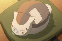 The injured Nyanko sleeping Episode 35