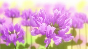 Kimi no Uta