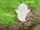 Little-Mustache-Ghost Youkai