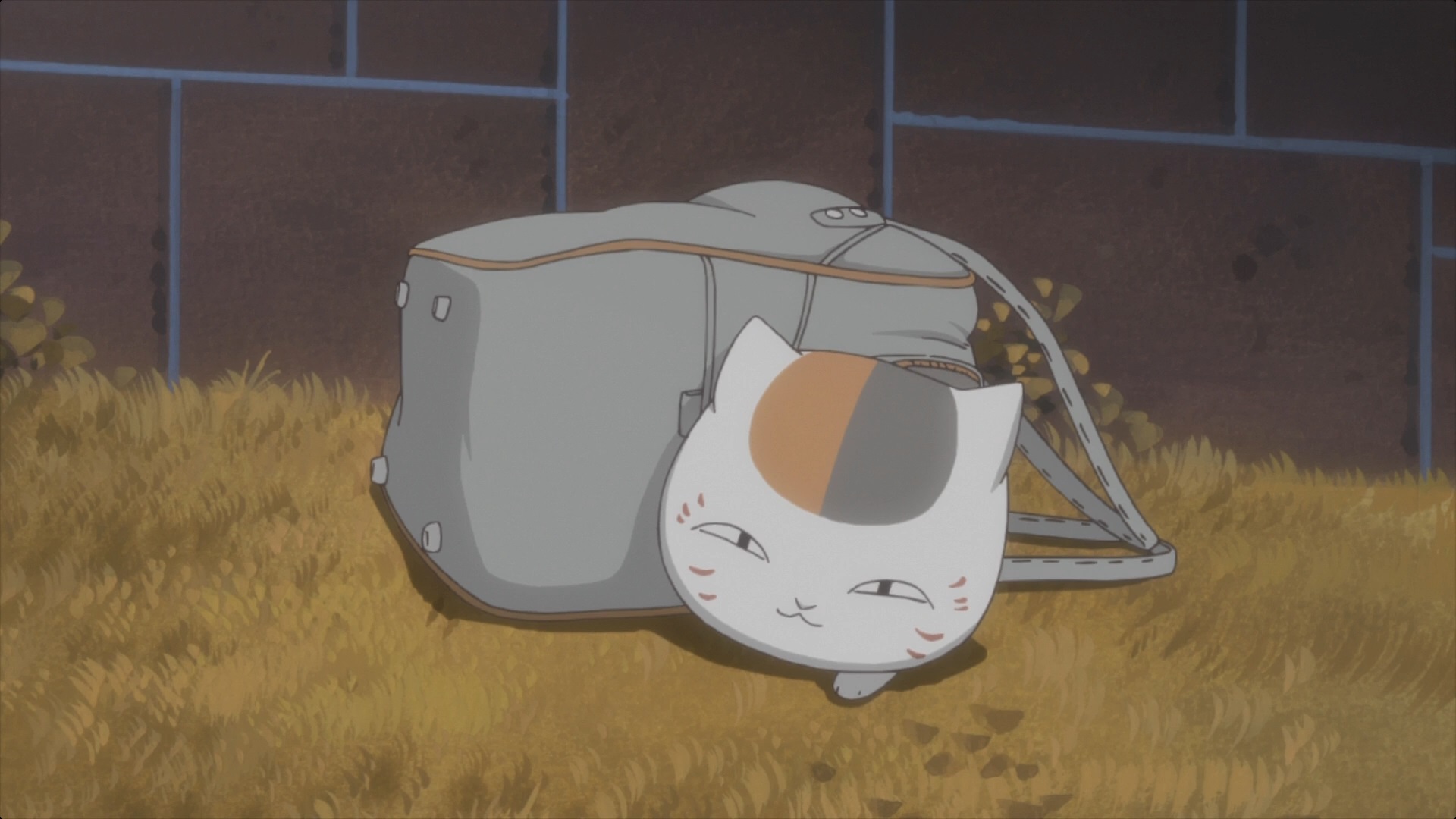 natsume yuujinchou cat name