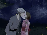 To the Forest of the Firefly Lights