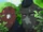 Chukyuu Bullies (A and B)/Gallery