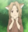Little Fox