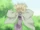 Hotaru/Gallery