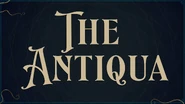 The Antiqua