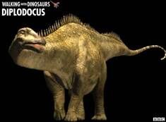 Diplodocus.jpg