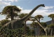 Brachiosaurus