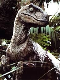 Velociraptor.jpg