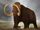 Woolly mammoth