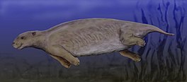 265px-Prorastomus BW