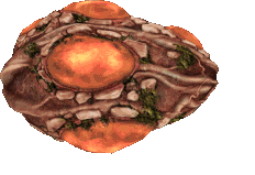 All variations of Bile Mines