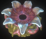 Tunnel entrance open small