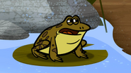 Warren the Bullfrog.