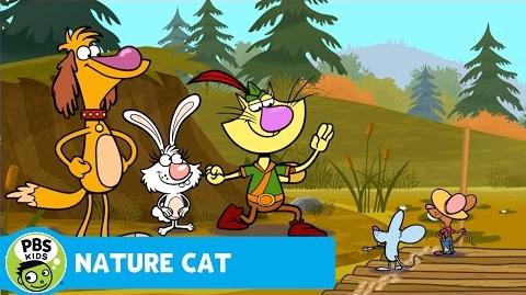 NATURE CAT Get to Know Nature Cat! PBS KIDS