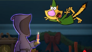 Nature cat falling