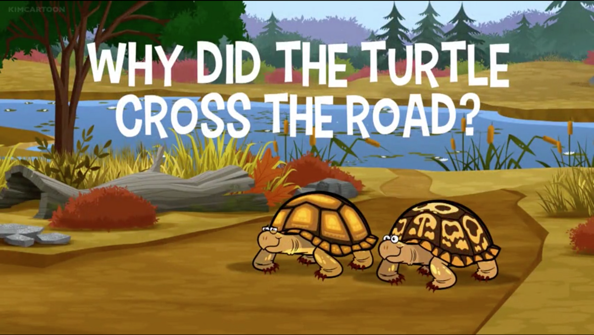 Why Did the Turtle Cross the Road Joke?  