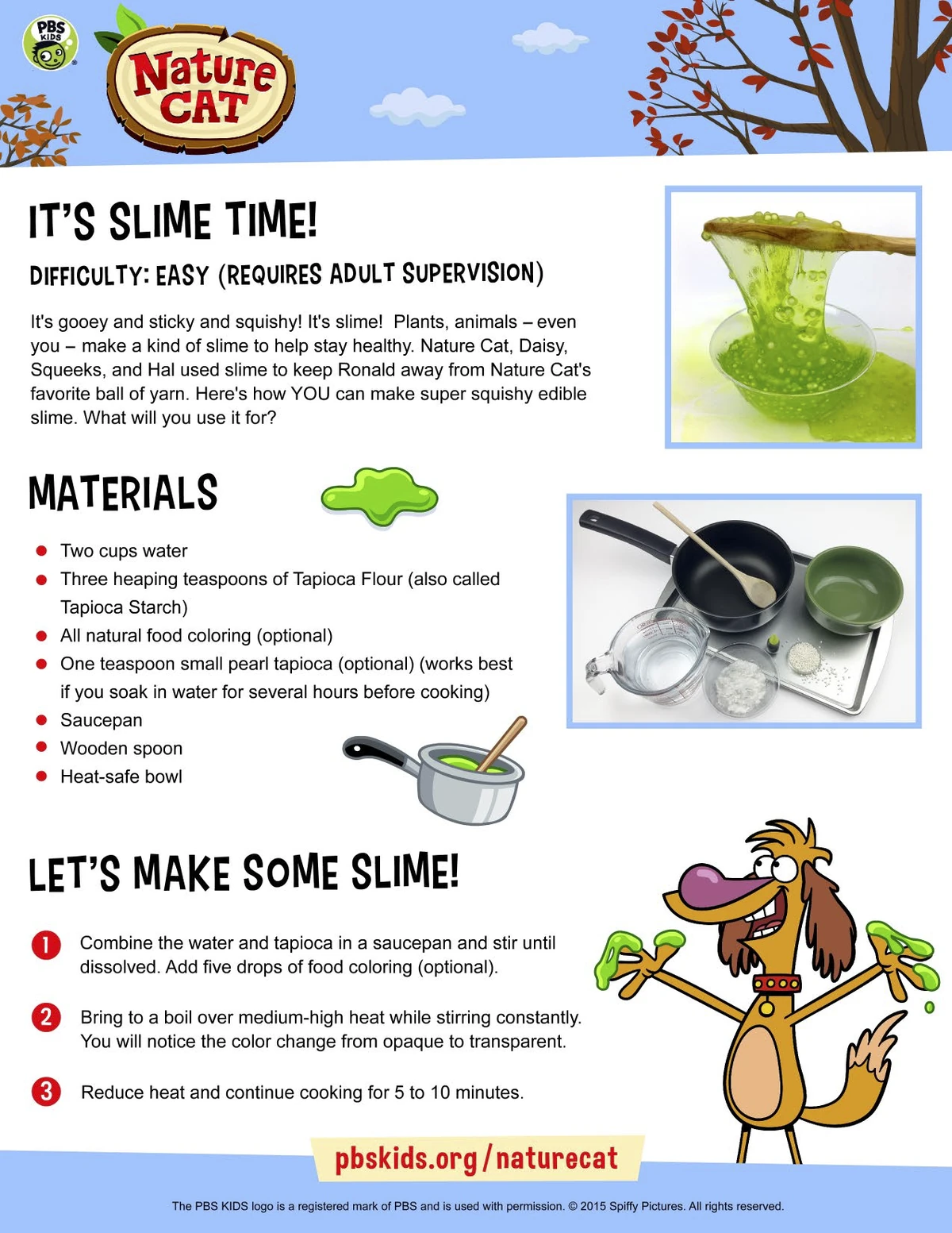 Nature Cat DIY Nature Cat Wikia Fandom