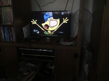 Nature Cat panicking.jpeg