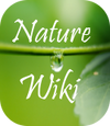 The Nature Wiki Monobook Logo.