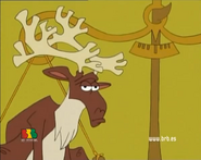 Toonimals! (2000)