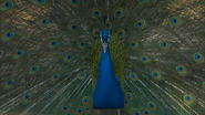 Animal Atlas (2004)