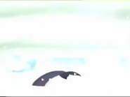 Noah's Island (1997-1999)