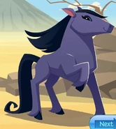 Animal Jam (2010)