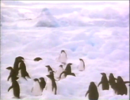 Atlantic Realm (1989)