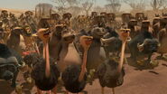 Madagascar: Escape 2 Africa (2008)