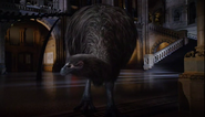 Natural History Museum Alive (2014) AKA “Attenborough’s Museum Comes Alive” (2025)